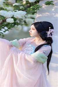 月又从云花有风顾瑾怀姜瑶全集