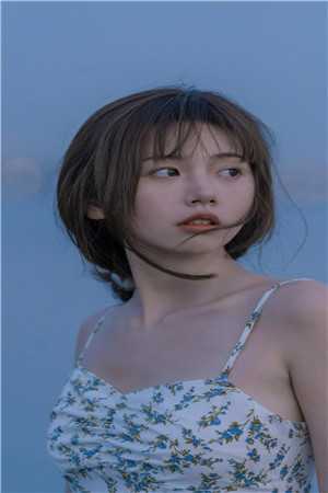 爱恨已覆回无路陆淮清陈婉全文小说