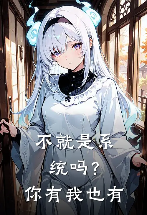 不就是系统吗？你有我也有