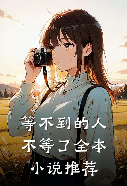 等不到的人，不等了全本小说推荐