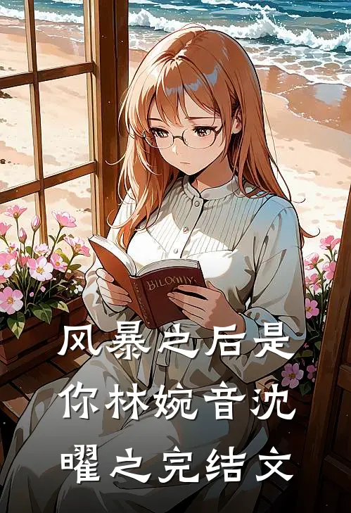 风暴之后是你林婉音沈曜之完结文