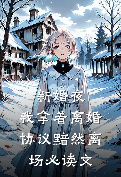 新婚夜，我拿着离婚协议黯然离场必读文
