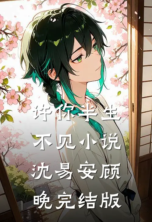 许你半生不见小说沈易安顾晚完结版