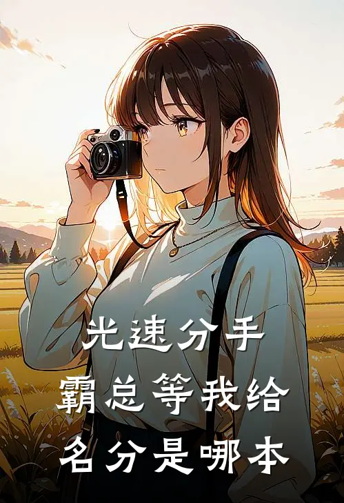 光速分手，霸总等我给名分是哪本