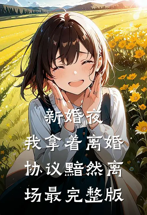 新婚夜，我拿着离婚协议黯然离场最完整版