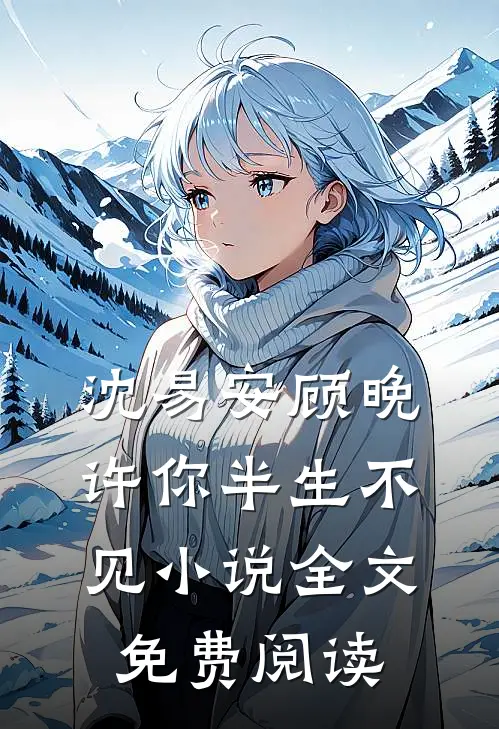 沈易安顾晚许你半生不见小说全文免费阅读