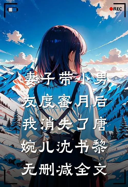 妻子带小男友度蜜月后，我消失了唐婉儿沈书黎无删减全文