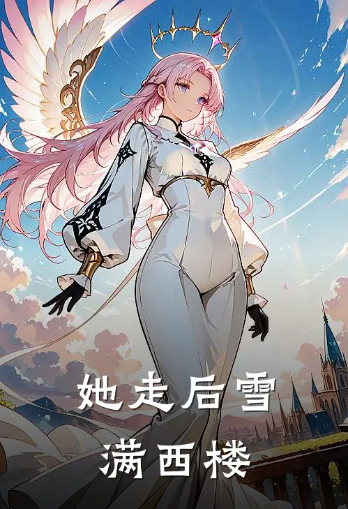 她走后雪满西楼