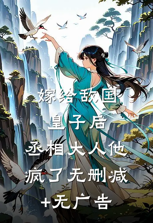 嫁给敌国皇子后，丞相大人他疯了无删减+无广告