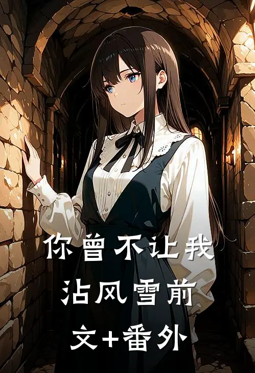 你曾不让我沾风雪前文+番外