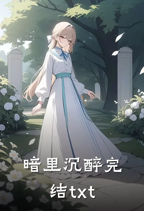暗里沉醉完结txt