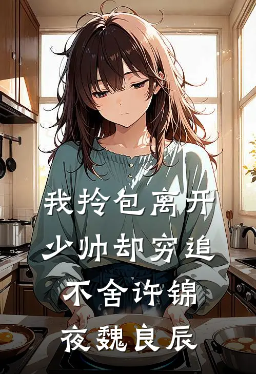 我拎包离开，少帅却穷追不舍许锦夜魏良辰