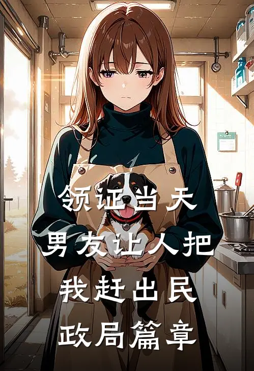领证当天，男友让人把我赶出民政局篇章
