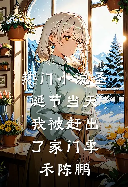 热门小说圣诞节当天，我被赶出了家门季禾陈鹏