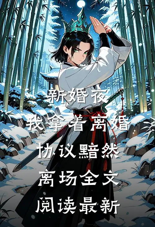 新婚夜，我拿着离婚协议黯然离场全文阅读最新
