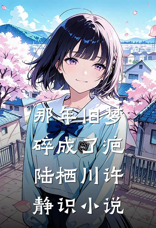 那年旧梦碎成了疤陆栖川许静识小说