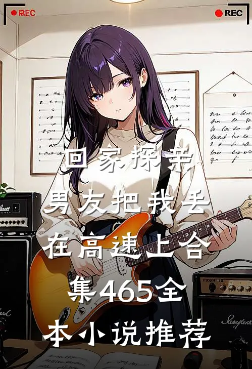 回家探亲，男友把我丢在高速上合集465全本小说推荐