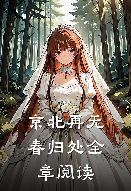 京北再无春归处全章阅读