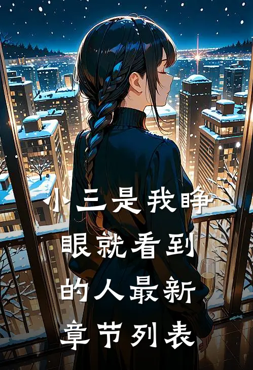 小三是我睁眼就看到的人最新章节列表