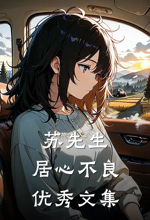 苏先生，居心不良优秀文集