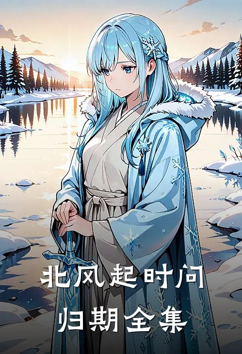 北风起时问归期全集
