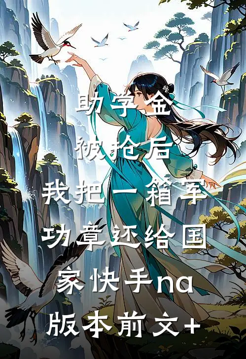 助学金被抢后，我把一箱军功章还给国家快手na版本前文+
