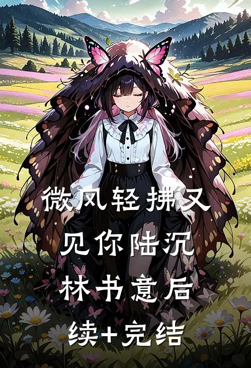 微风轻拂又见你陆沉林书意后续+完结