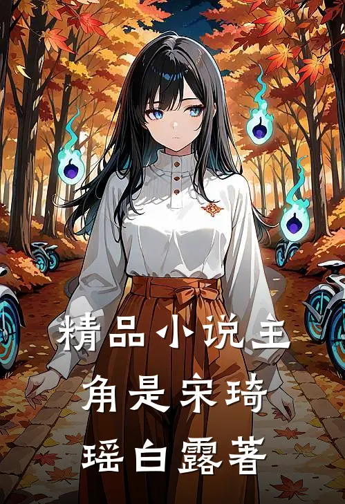 精品小说主角是宋琦瑶白露著