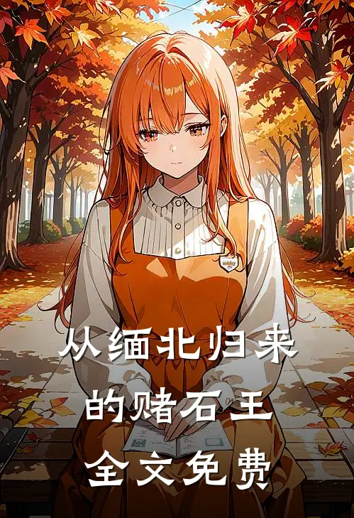 从缅北归来的赌石王全文免费