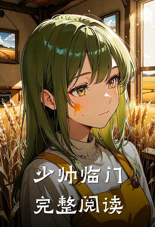 少帅临门完整阅读