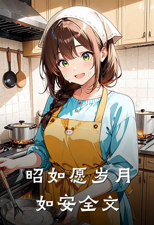 昭如愿岁月如安全文