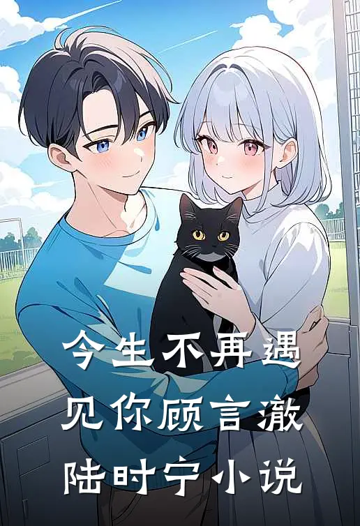今生不再遇见你顾言澈陆时宁小说