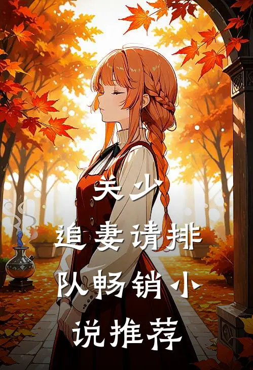 关少，追妻请排队畅销小说推荐