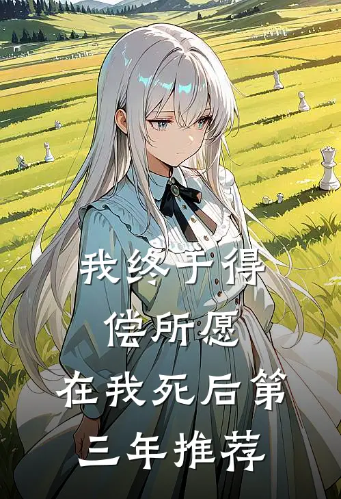 我终于得偿所愿，在我死后第三年推荐