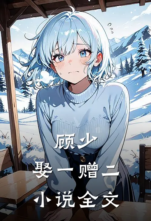 顾少,娶一赠二 小说全文